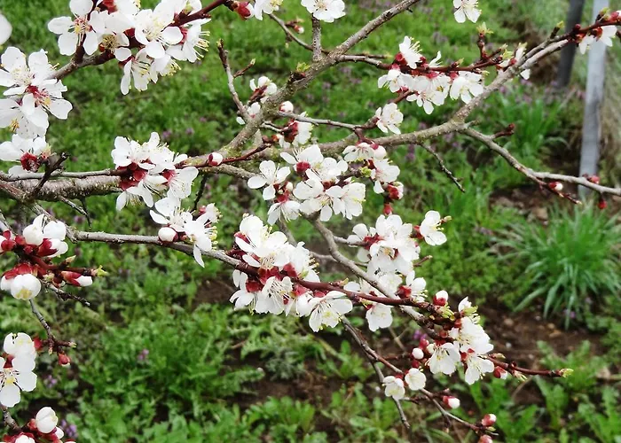 Haus Sundl - 3* Emmersdorf an der Donau