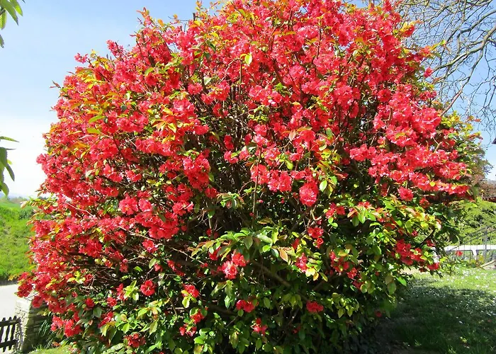 Haus Sundl - Emmersdorf an der Donau