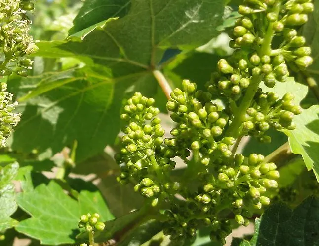 Nocleg ze śniadaniem Haus Sundl - 3*